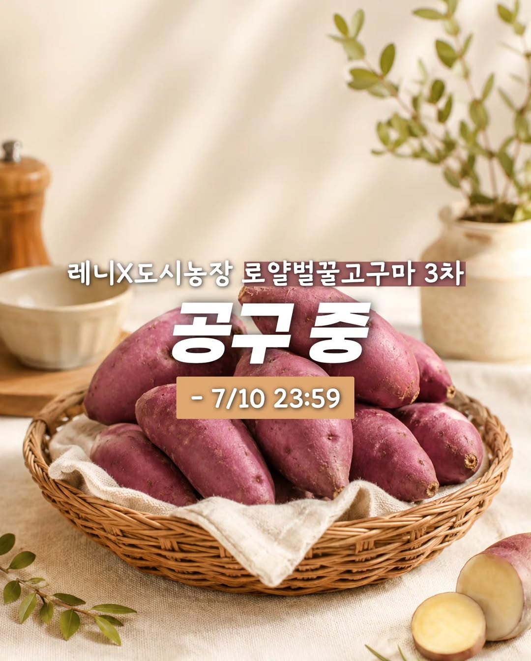 로얄벌꿀고구마