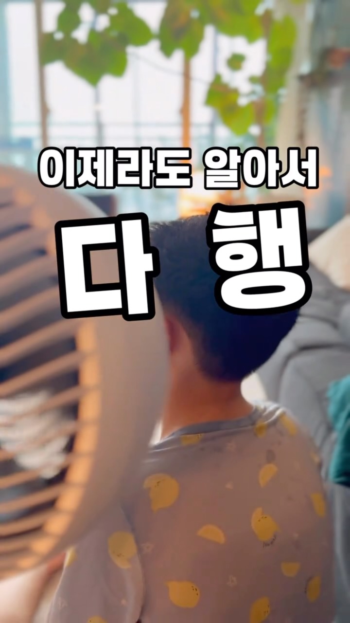 남편비누 5%