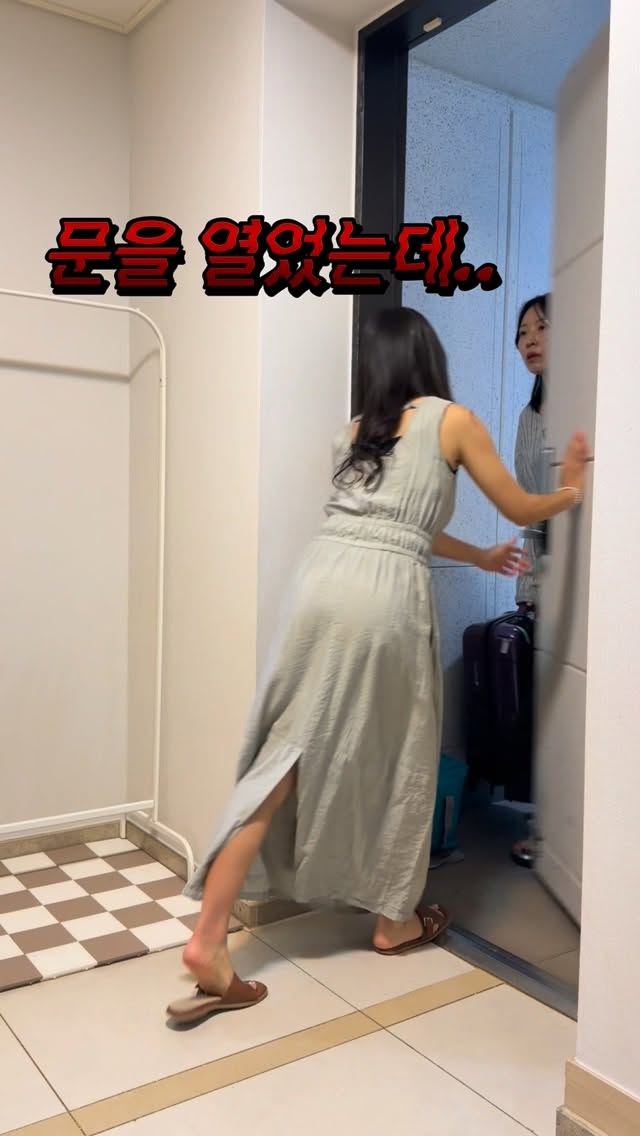 캐리어