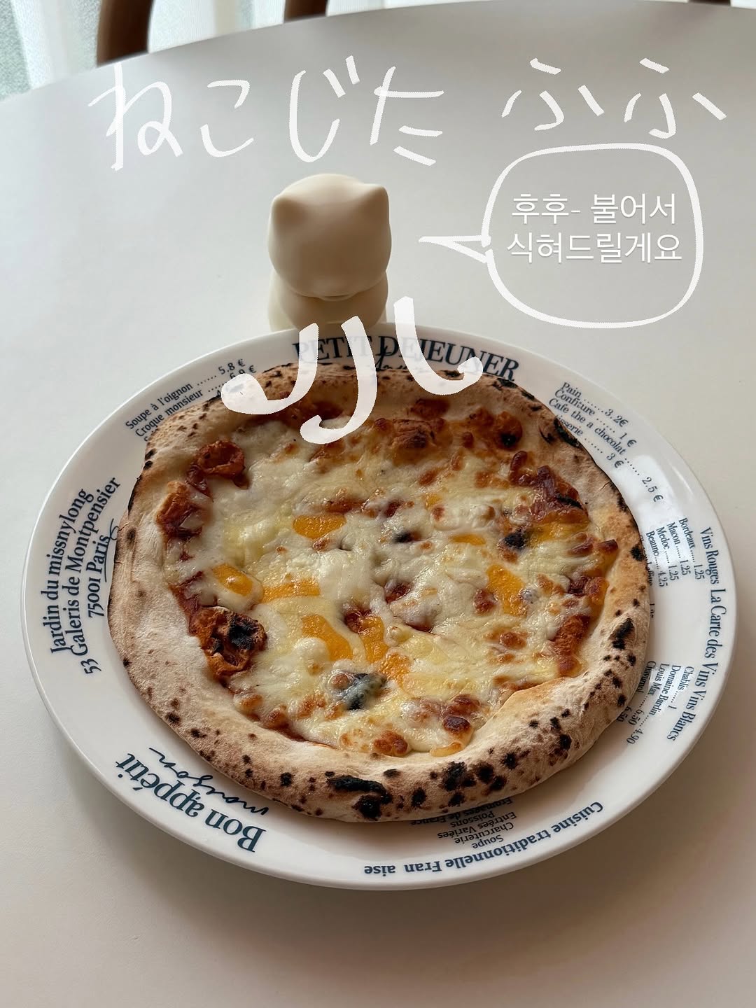 네코지타 후후