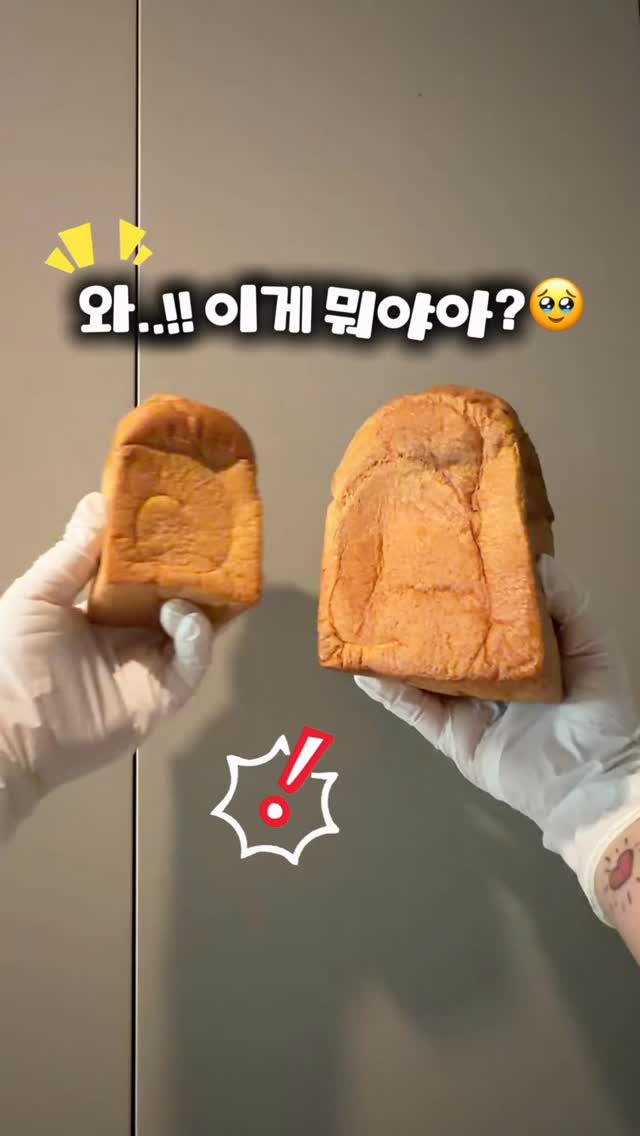 리틀브라운 첫만남세트