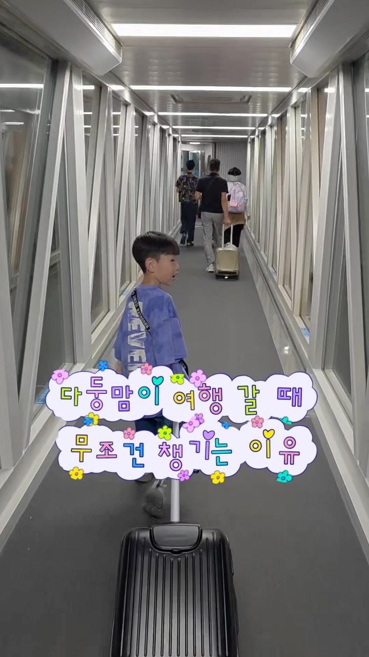 뉴이 캐리어 트라이크 신상 3세대