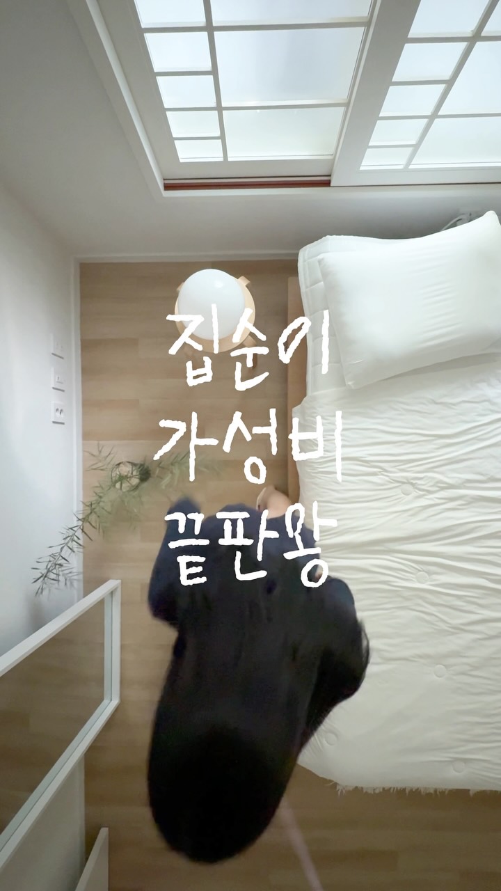 무선 청소기