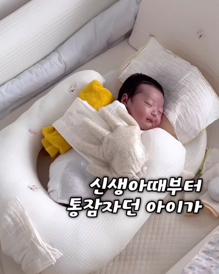 아이언츄 철분제
