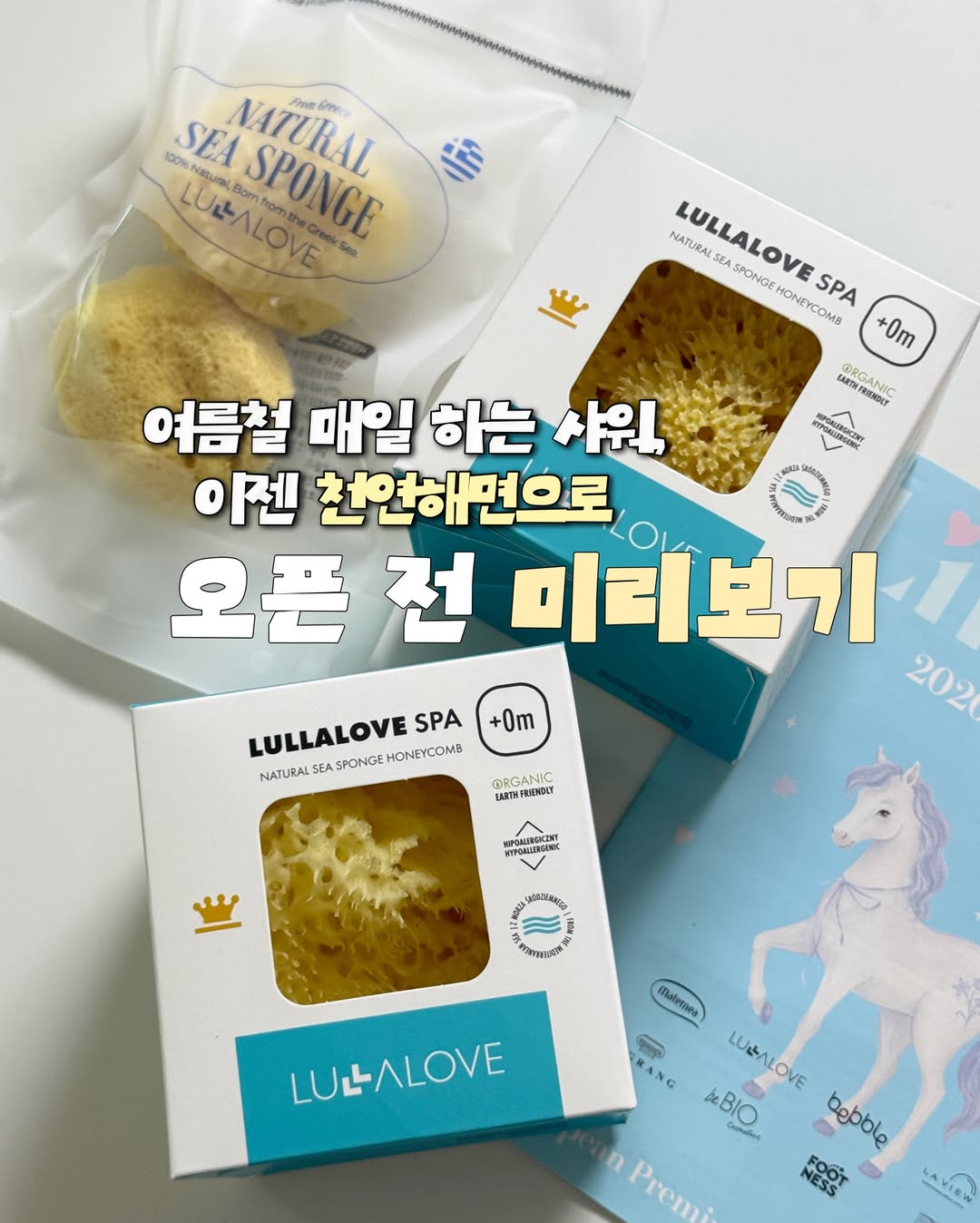 천연해면