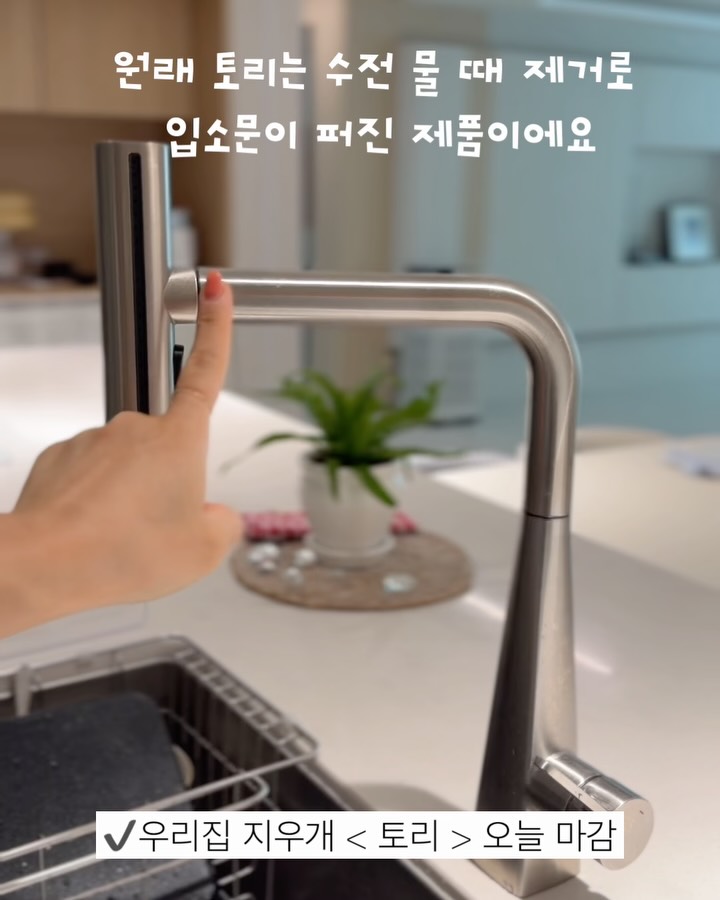 다목적 세정제
