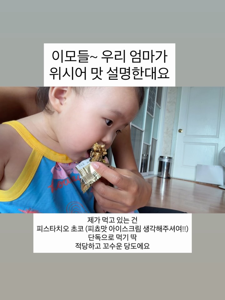 프로틴바