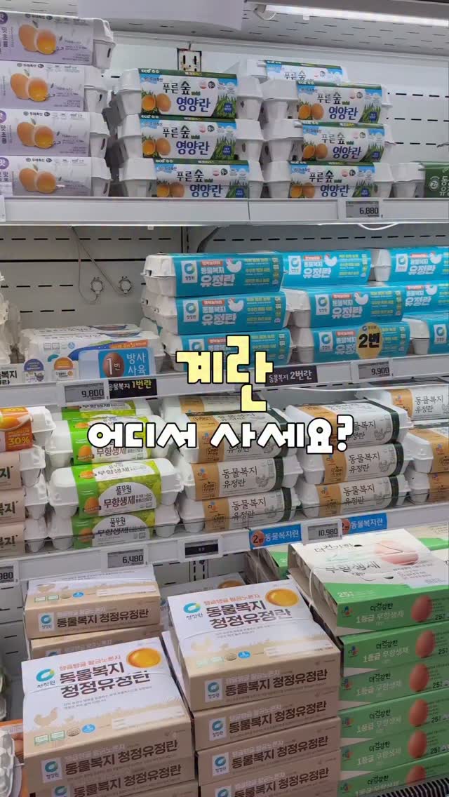 새벽햇살계란