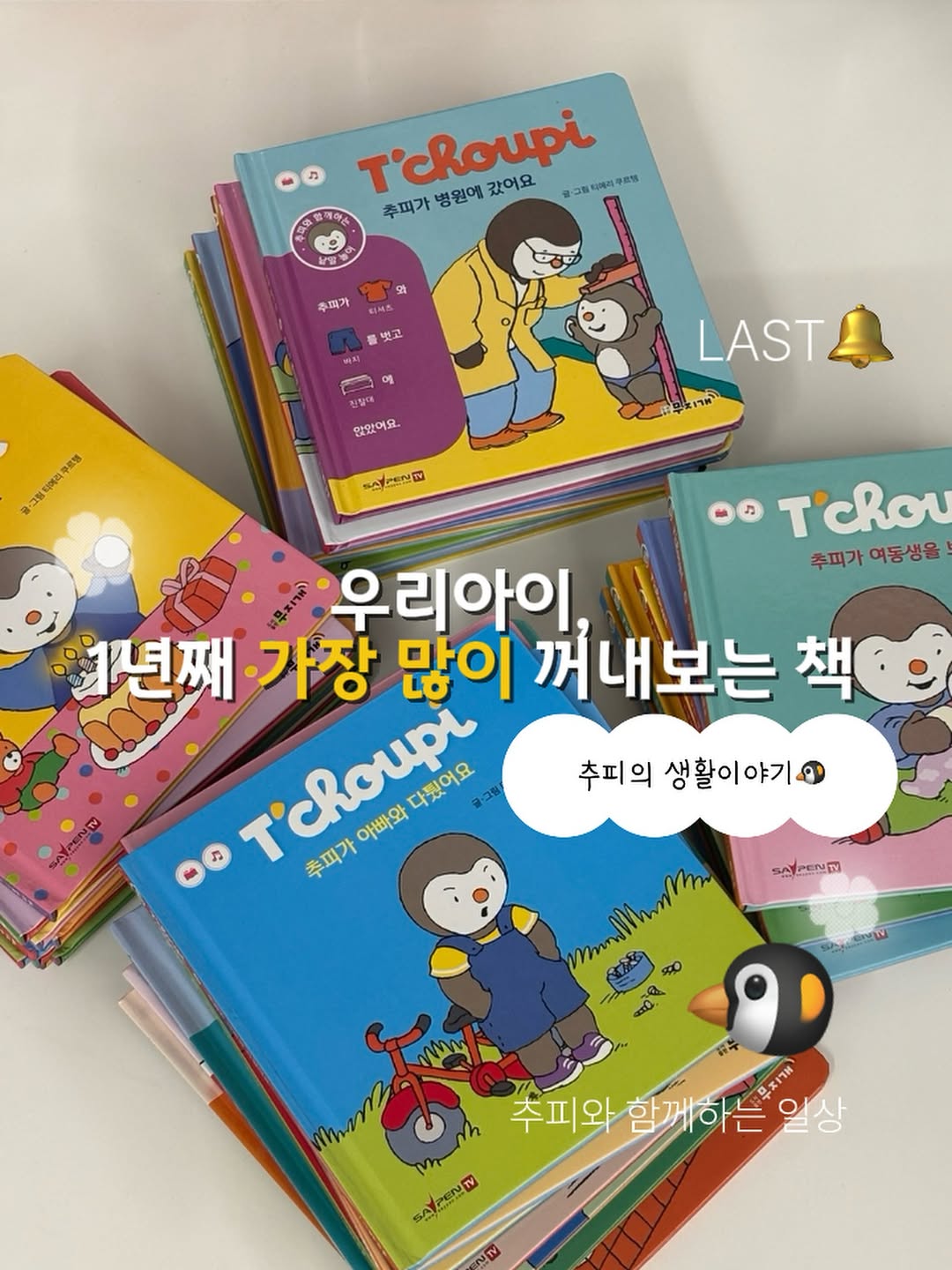 추피 생활이야기