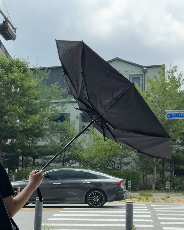 양우산 시리즈