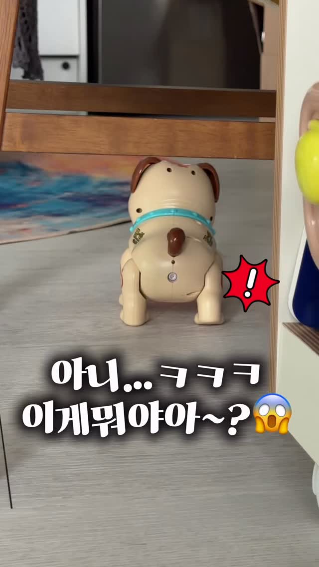 방귀대장퍼그