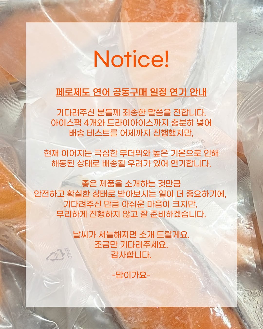 페로제도 연어