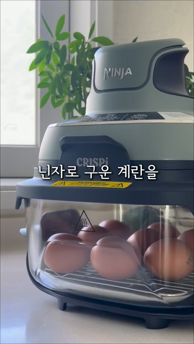 닌자 크리스피