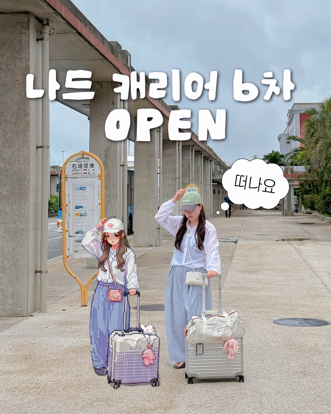 파일럿 캐리어