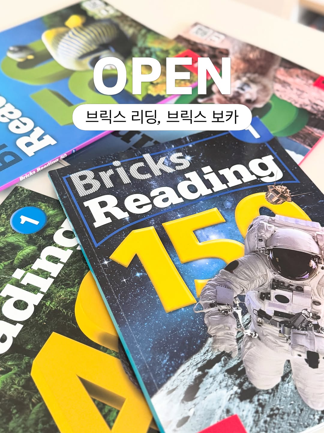 브릭스 리딩, 브릭스 보카