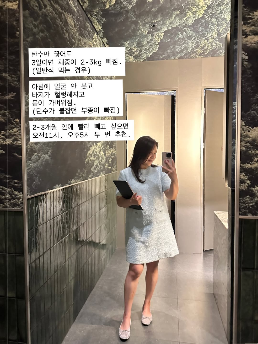 다이어트 보조 식품