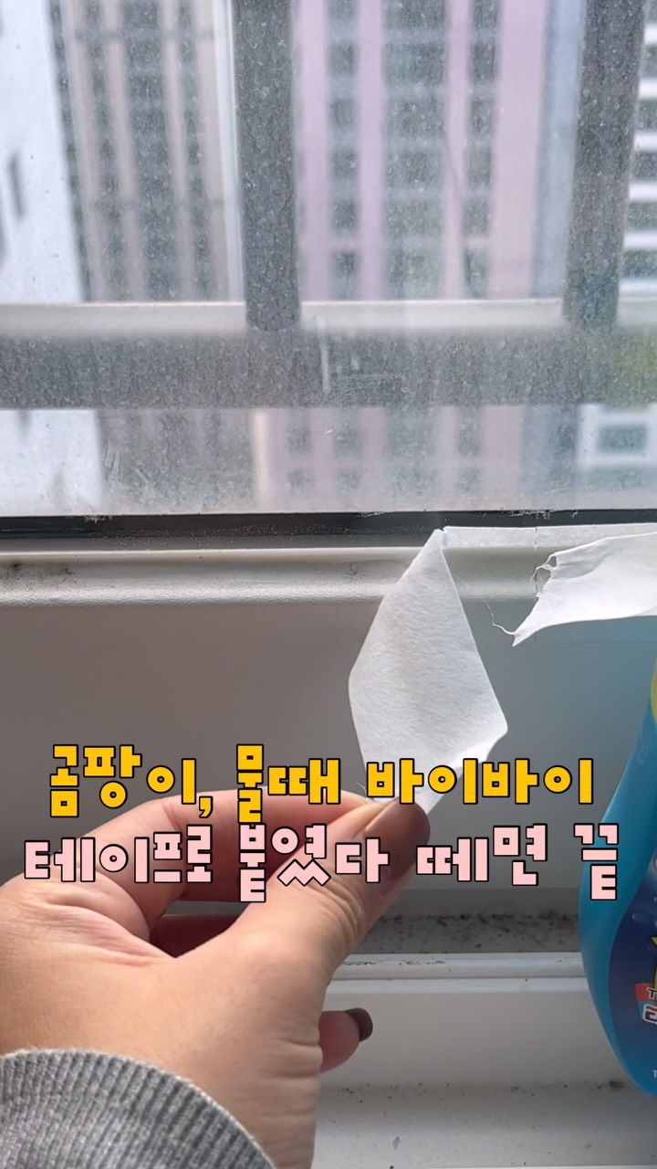 곰팡이 제거 테이프