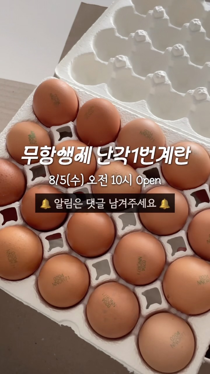 무항생제 난각1번계란