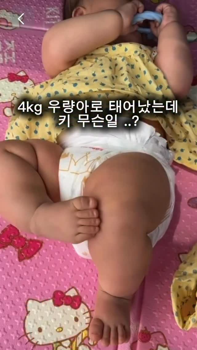무타공 슈로스도어