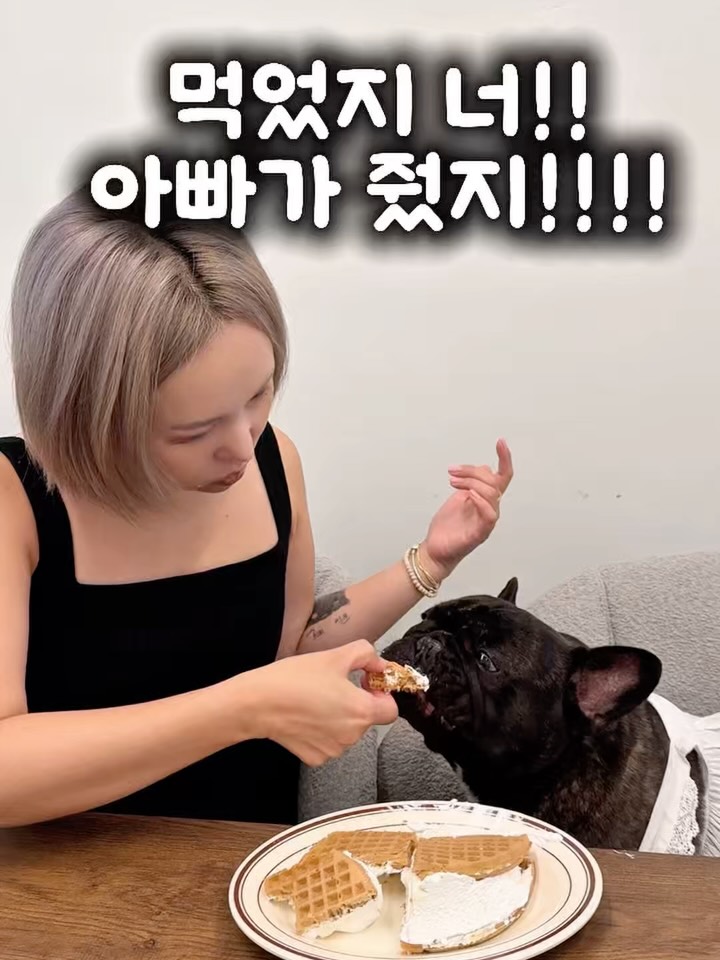 영롱 포드락 엔자임
