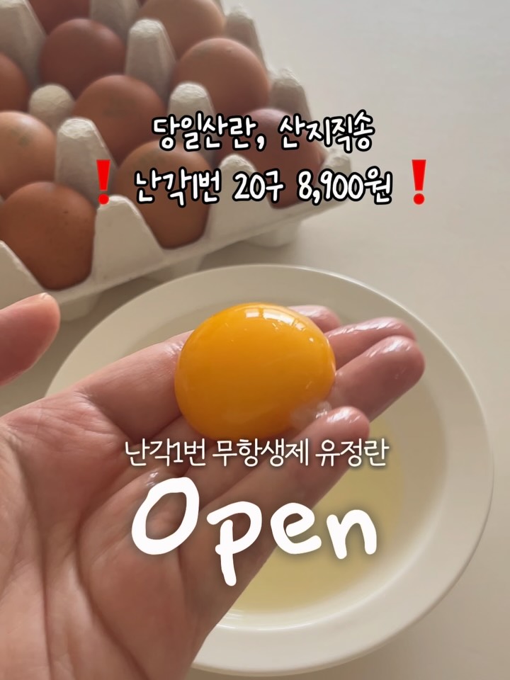 난각1번 자연방사 무항생제 유정란 / 난각1번 저온숙성 구운란