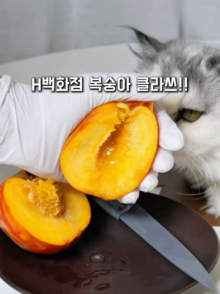 복숭아