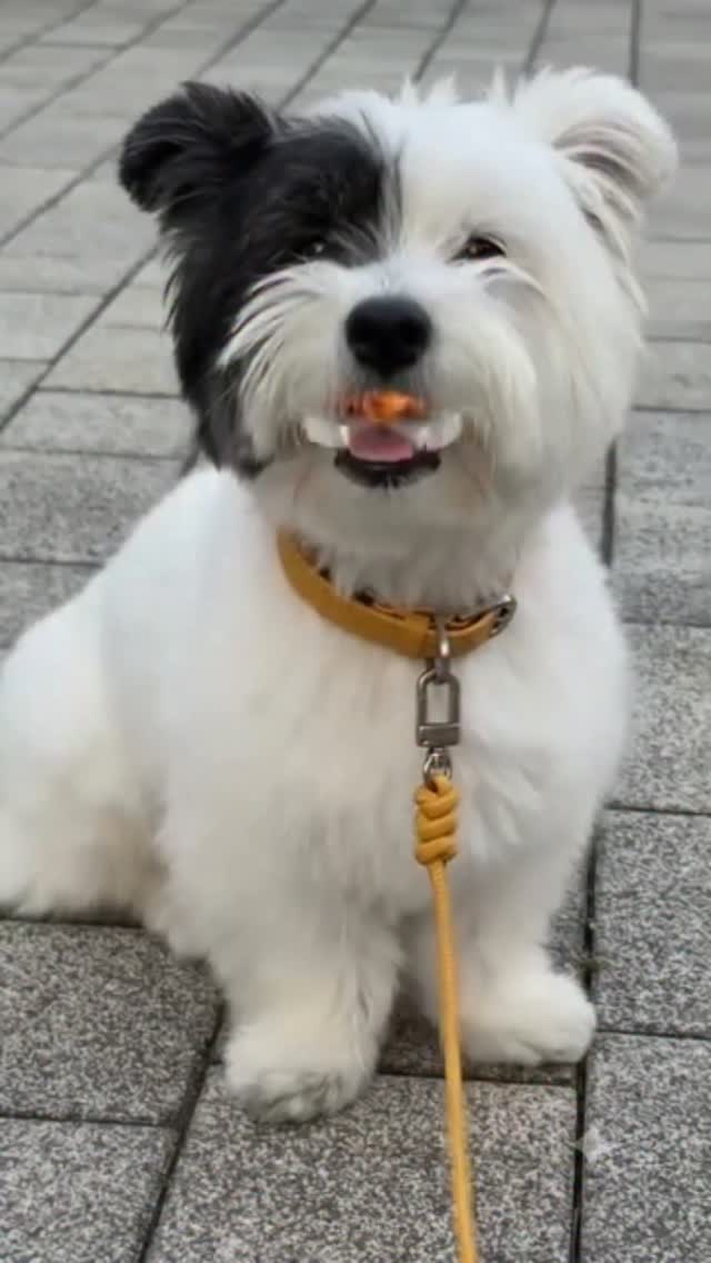 쿨링매트