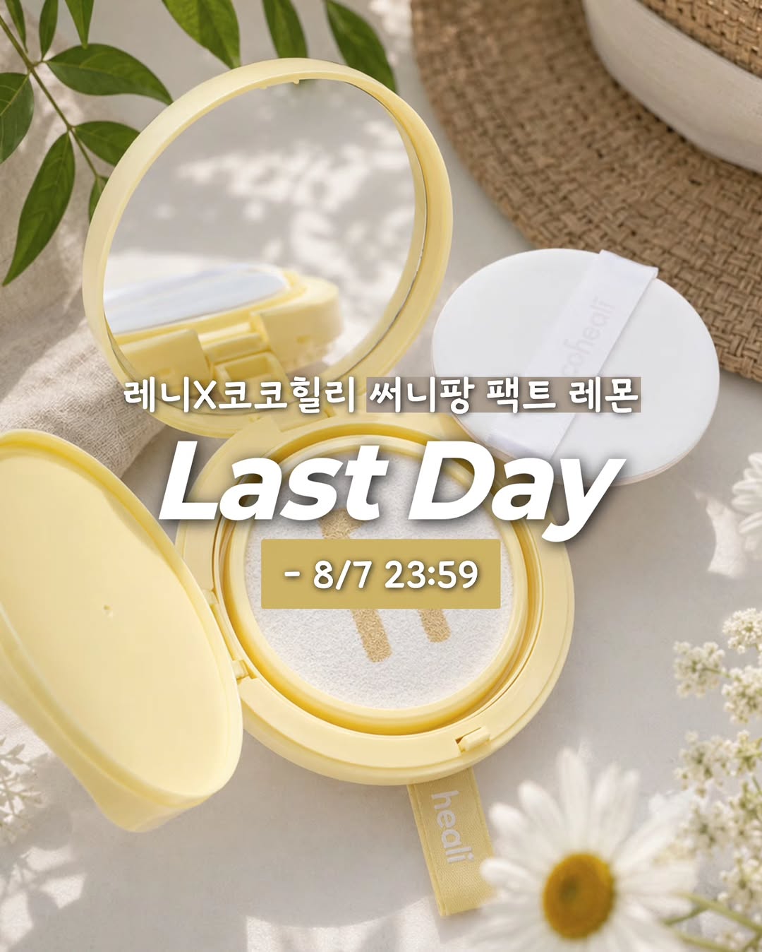 써니팡 팩트 레몬