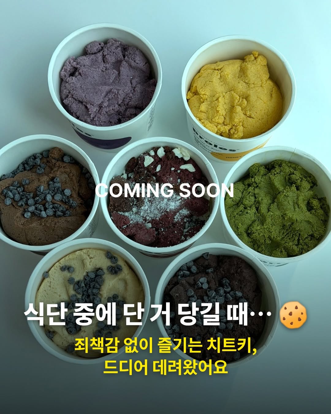 프롤즈 프로틴 (그래놀라 쿠키 바, 떠먹는 프로틴 쿠키 도우)
