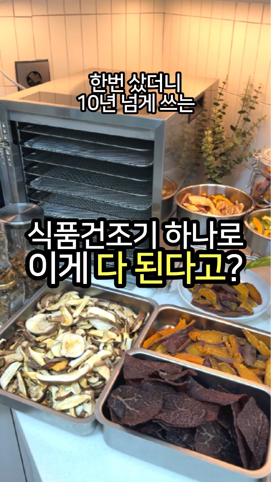 올스텐 10단 식품건조기