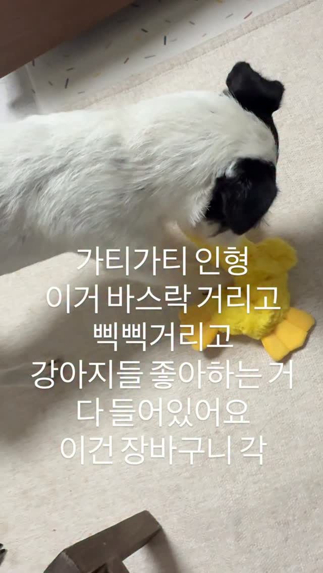 가티가티 인형