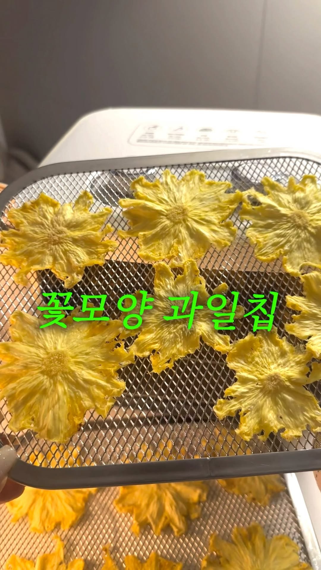 건조기