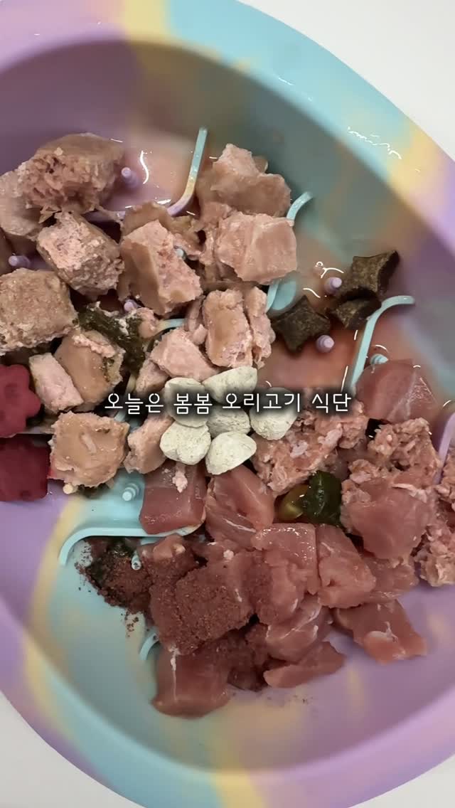 생식/화식