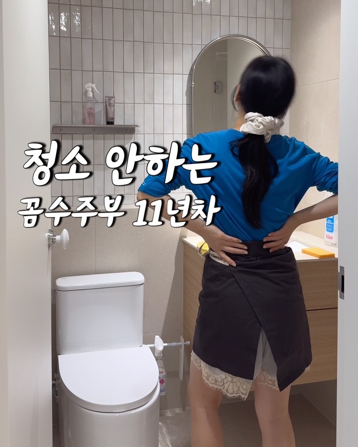 독일세제
