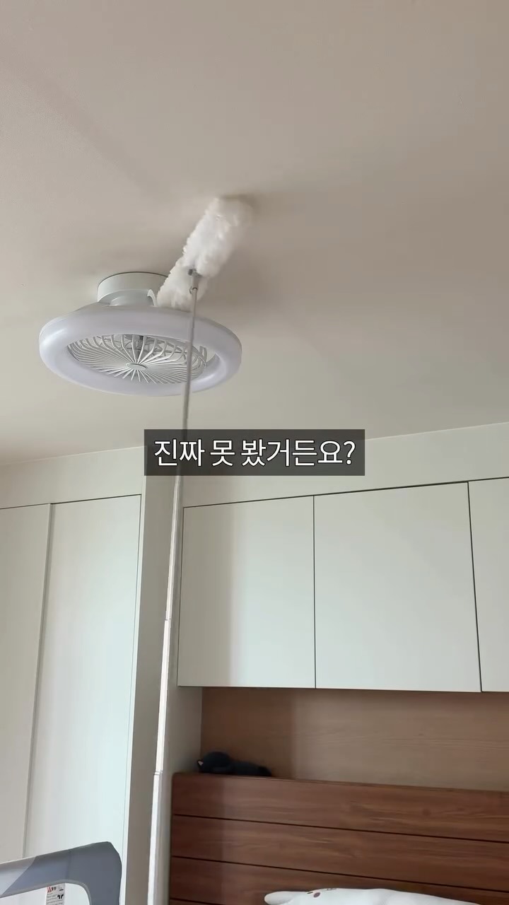 청소개구리 먼지 더스터