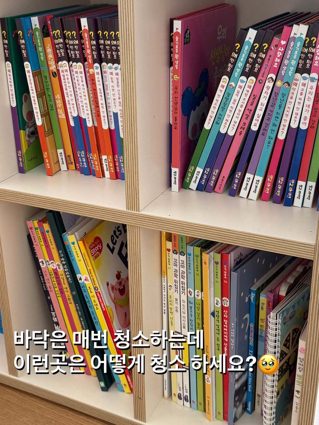 먼지더스터