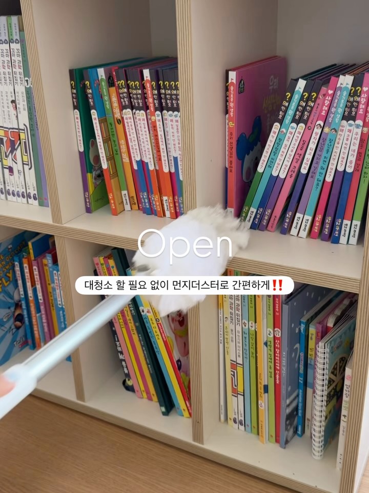 먼지떨이 (확장형)