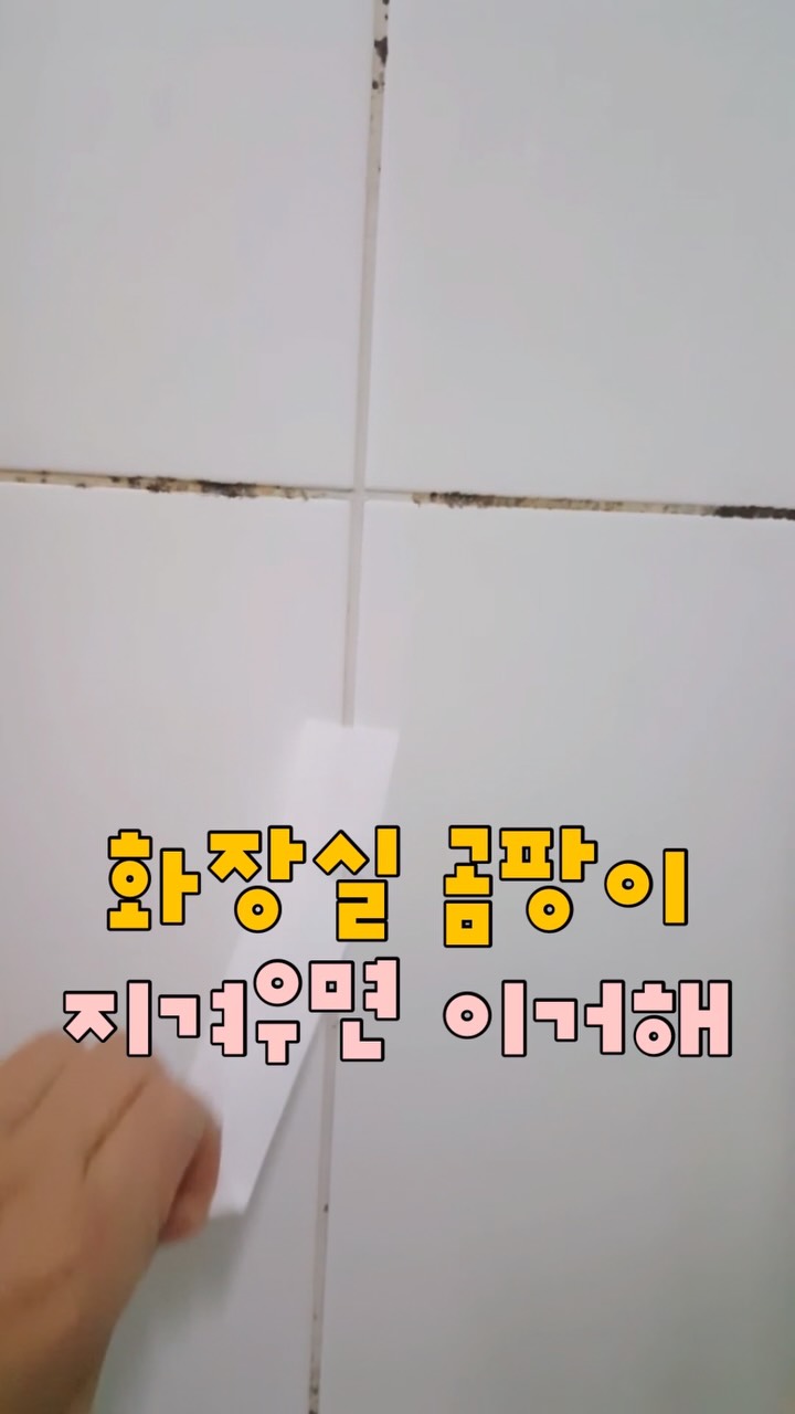 곰팡이 제거 테이프
