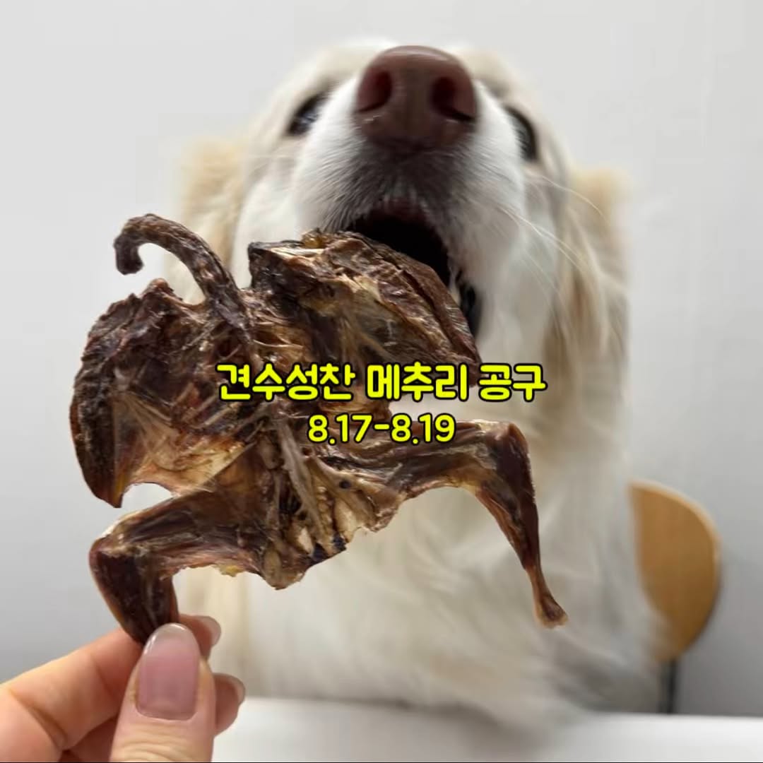 껍질 벗긴 통메추리