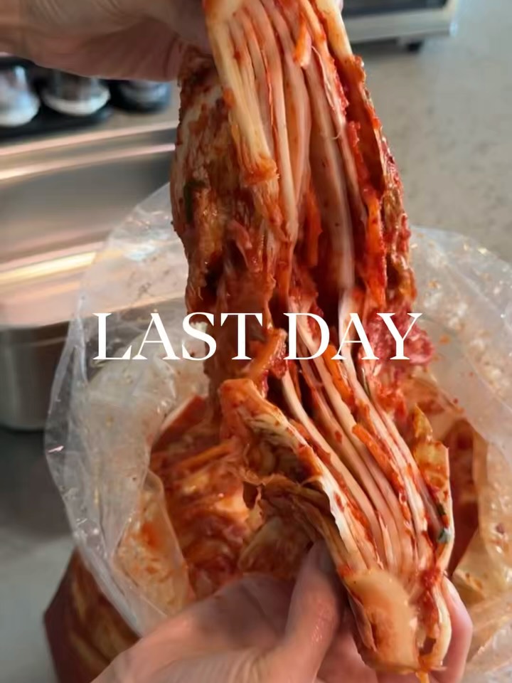 슈퍼딤치 포기김치
