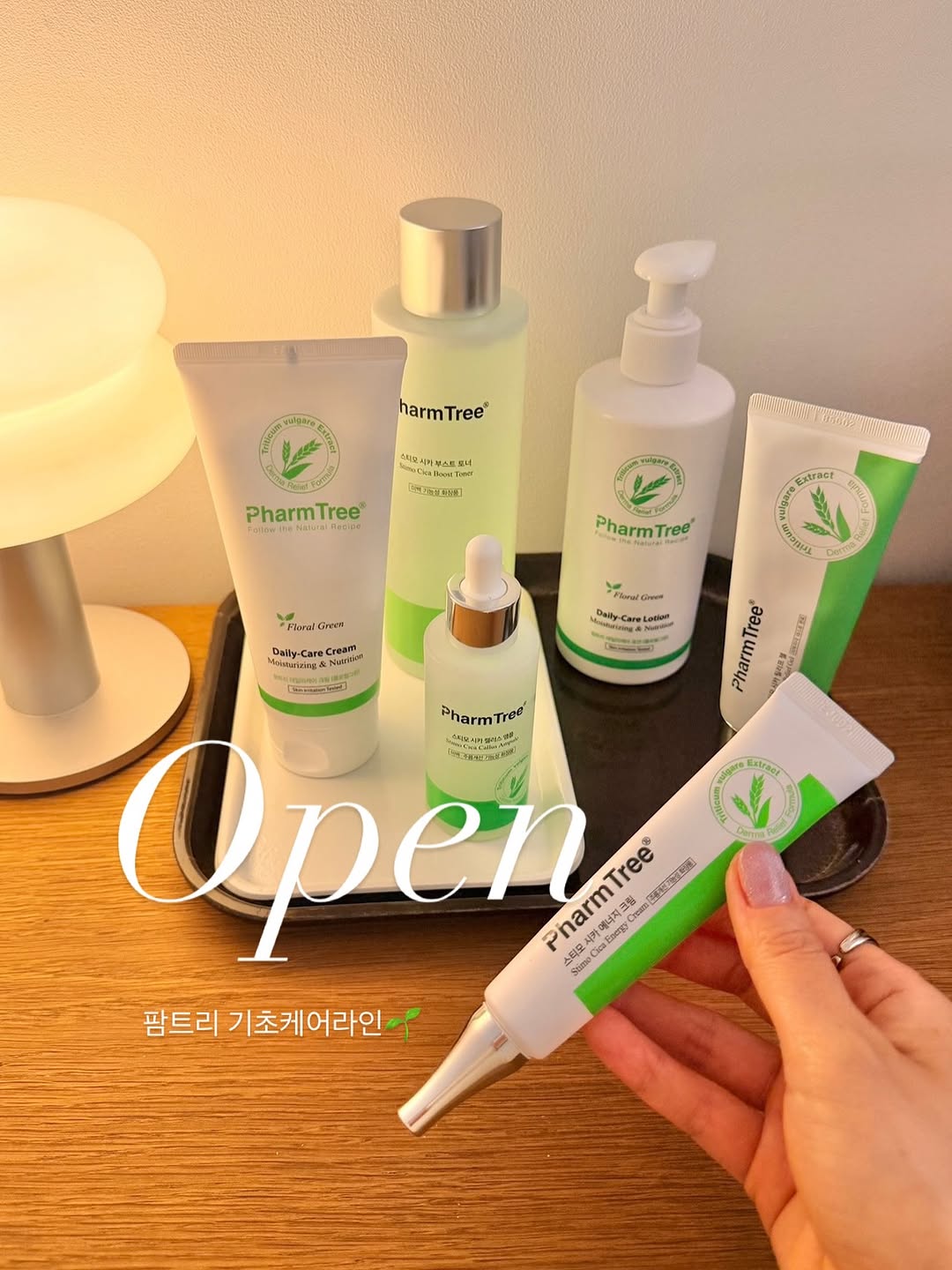 스티모시카 & 데일리케어 기초라인