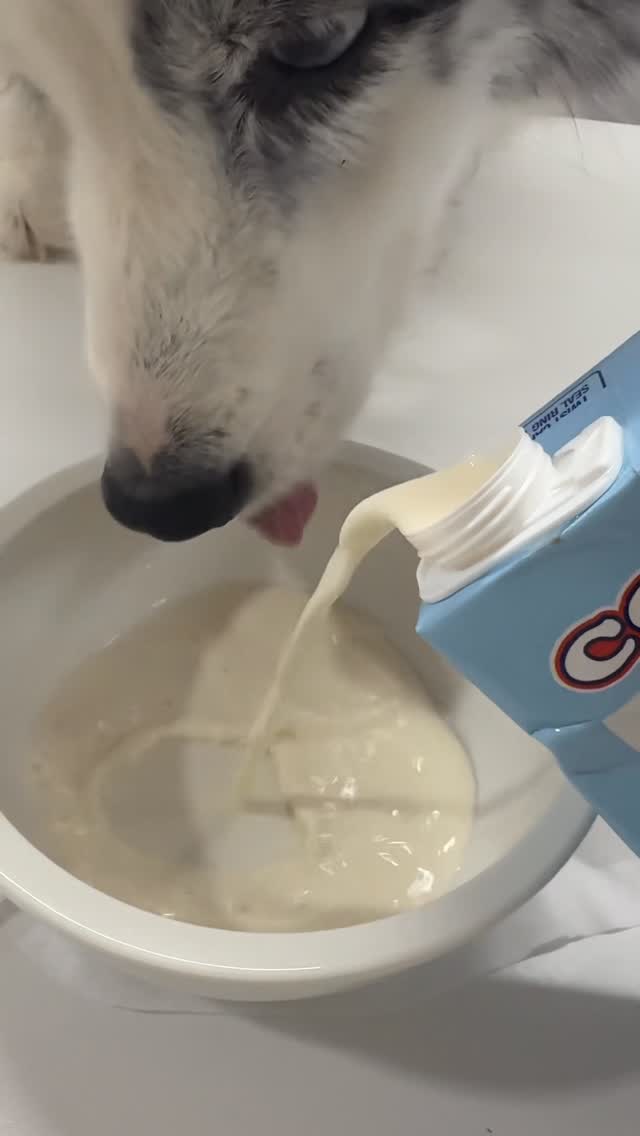 펫밀크
