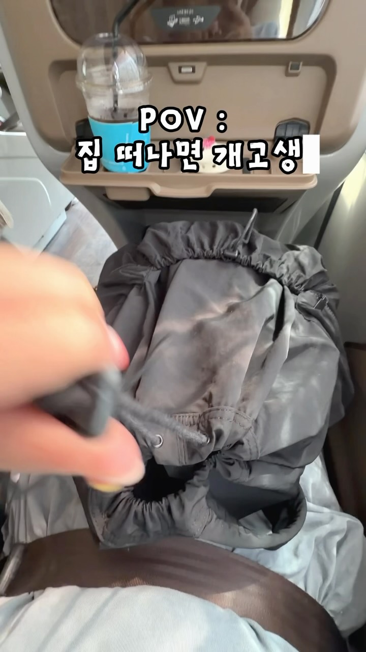 클렌즈