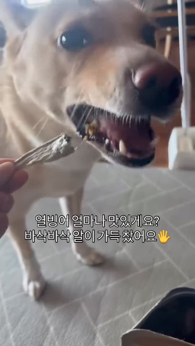 열빙어