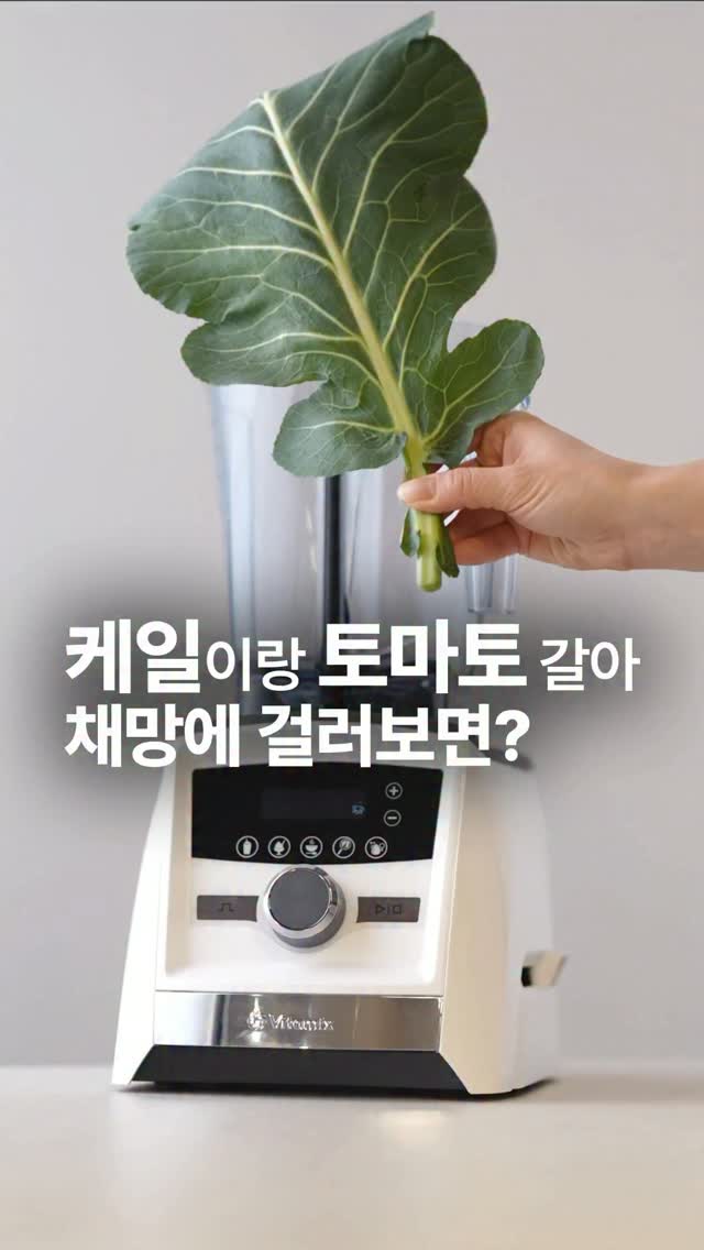 바이타믹스