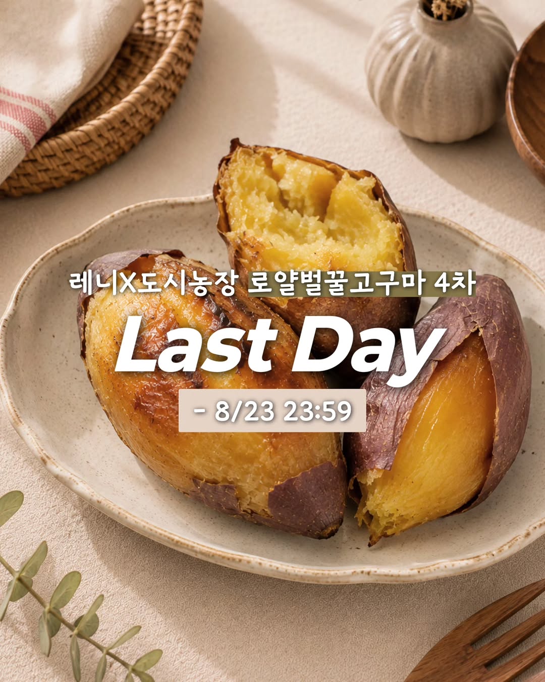 로얄벌꿀고구마