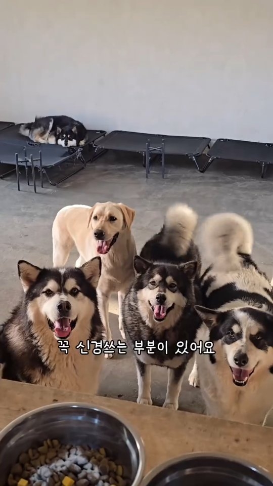 탈취제