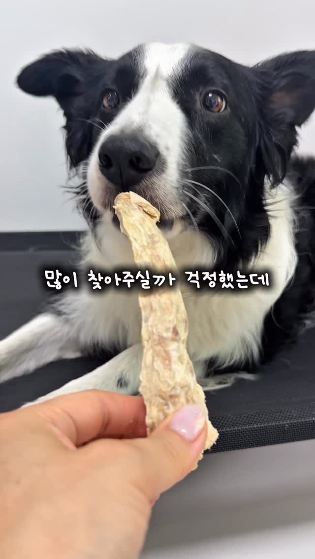 동결건조 간식