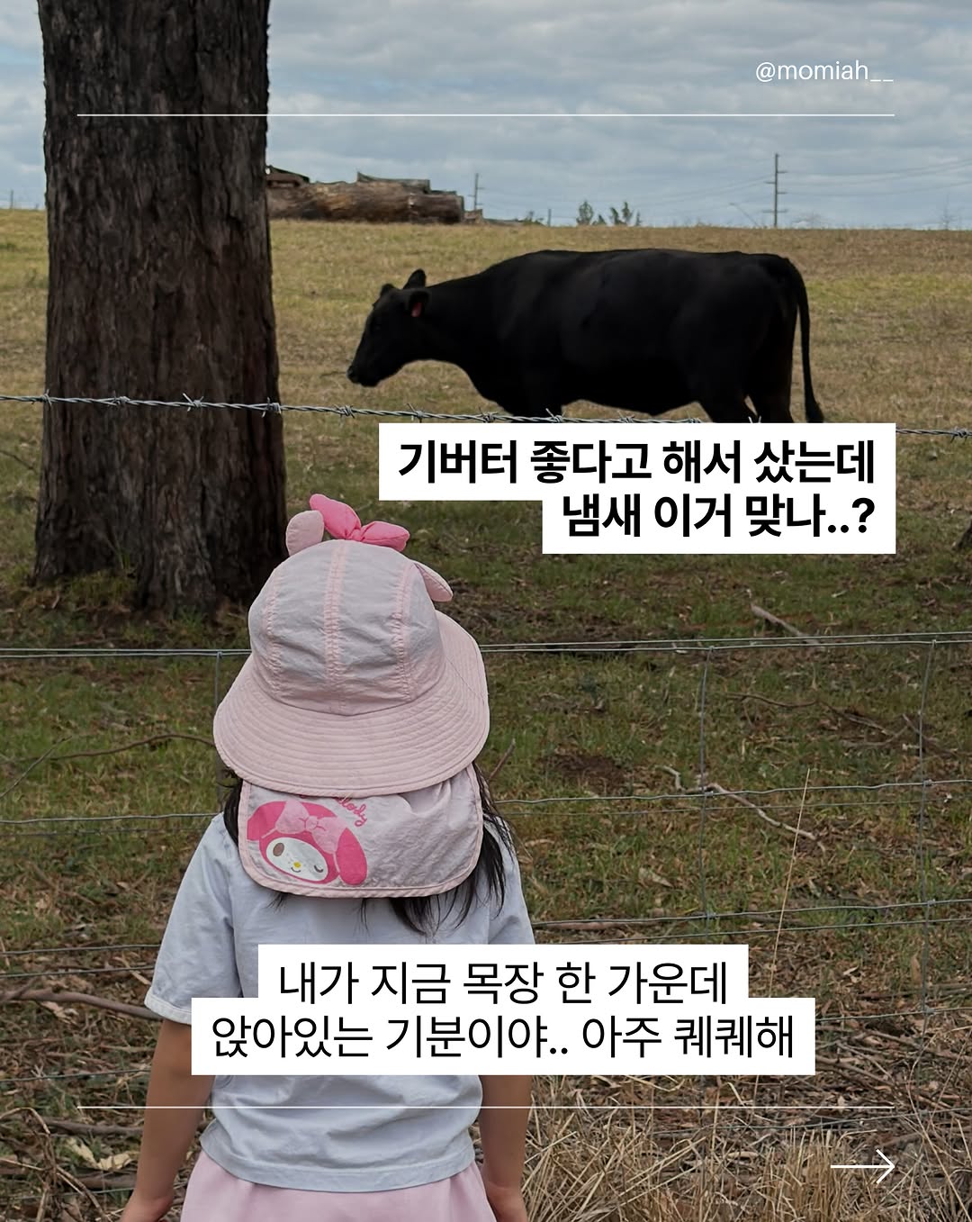 기버터