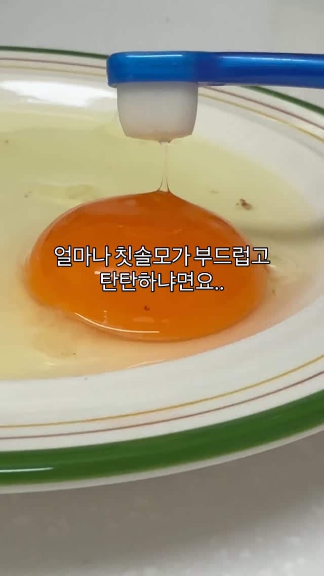 칫솔